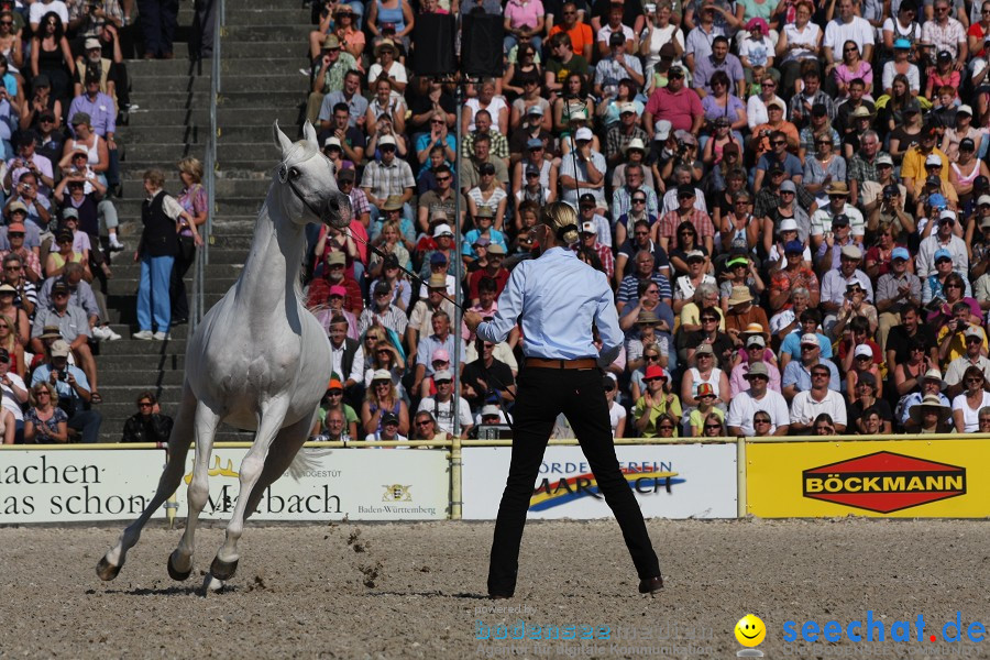 Hengstparade-Marbach-2011-011011-Bodensee-Community-SEECHAT_DE-IMG_0498.JPG