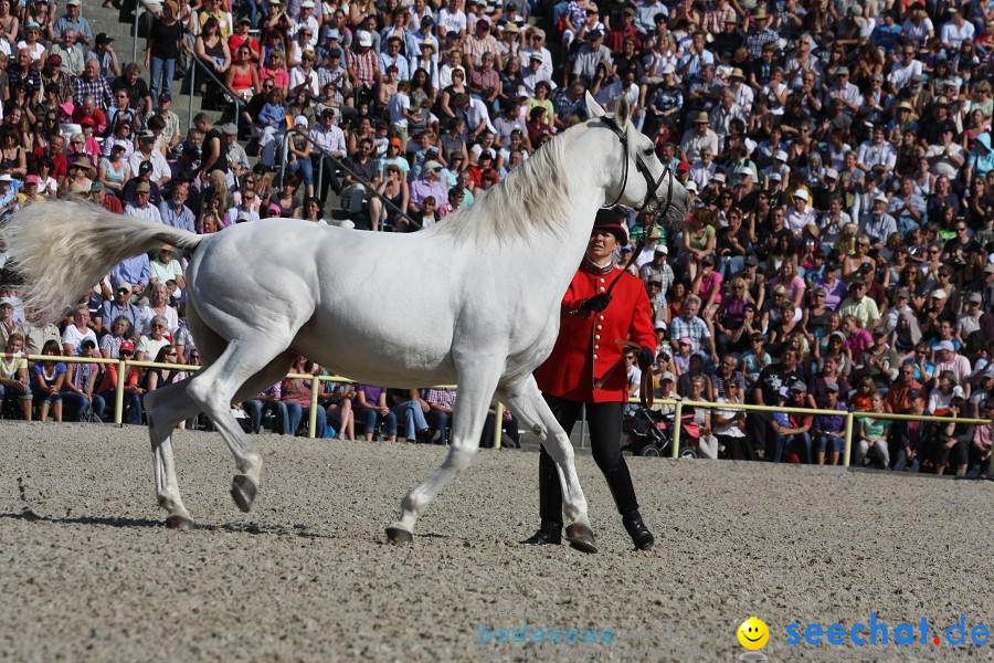 Hengstparade-Marbach-2011-011011-Bodensee-Community-SEECHAT_DE-IMG_0505.JPG