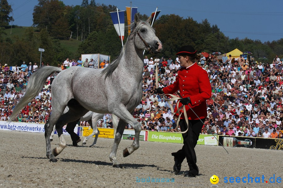 Hengstparade-Marbach-2011-011011-Bodensee-Community-SEECHAT_DE-IMG_0506.JPG