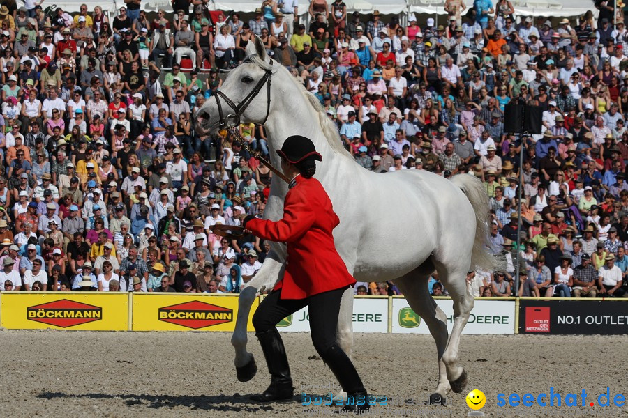 Hengstparade-Marbach-2011-011011-Bodensee-Community-SEECHAT_DE-IMG_0507.JPG