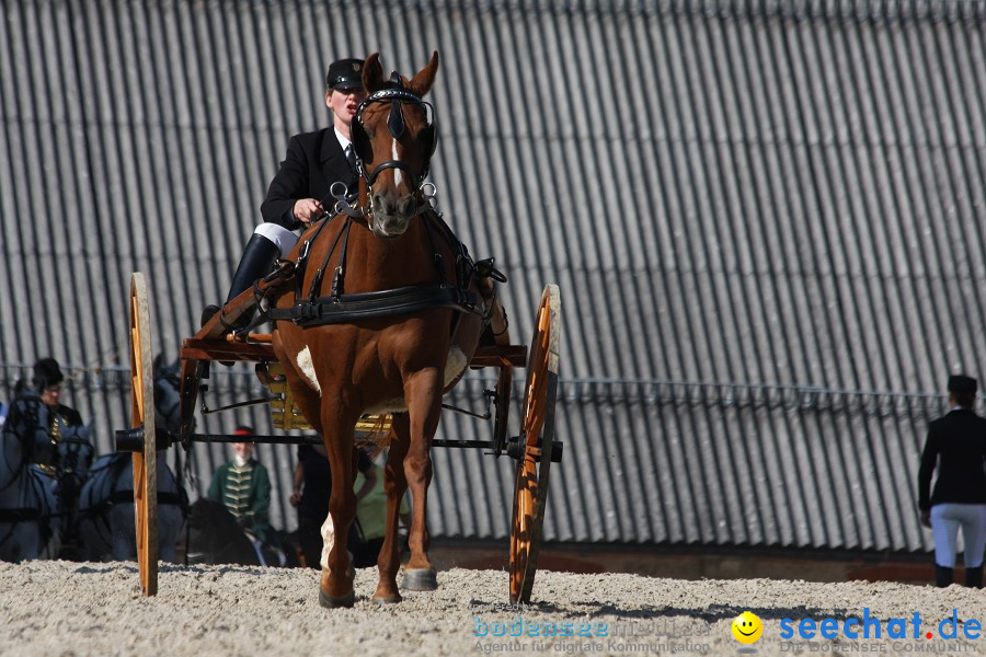 Hengstparade-Marbach-2011-011011-Bodensee-Community-SEECHAT_DE-IMG_0509.JPG