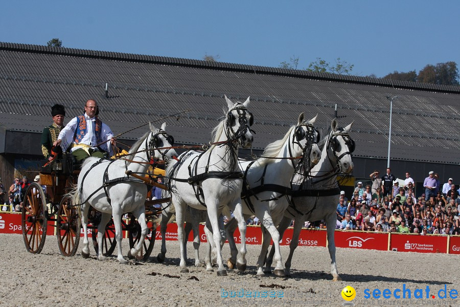 Hengstparade-Marbach-2011-011011-Bodensee-Community-SEECHAT_DE-IMG_0515.JPG