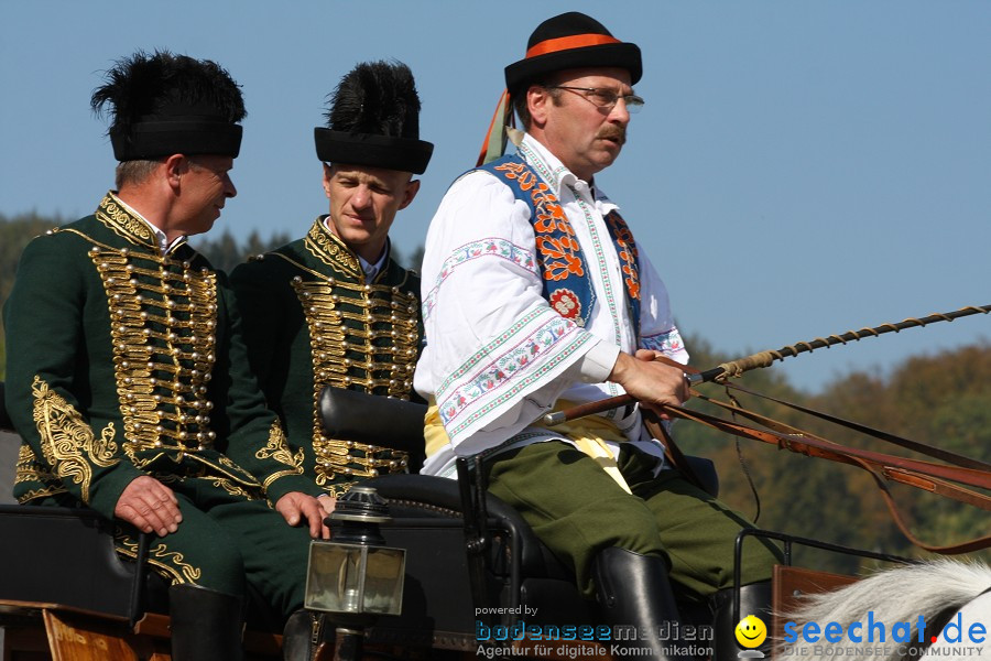 Hengstparade-Marbach-2011-011011-Bodensee-Community-SEECHAT_DE-IMG_0516.JPG