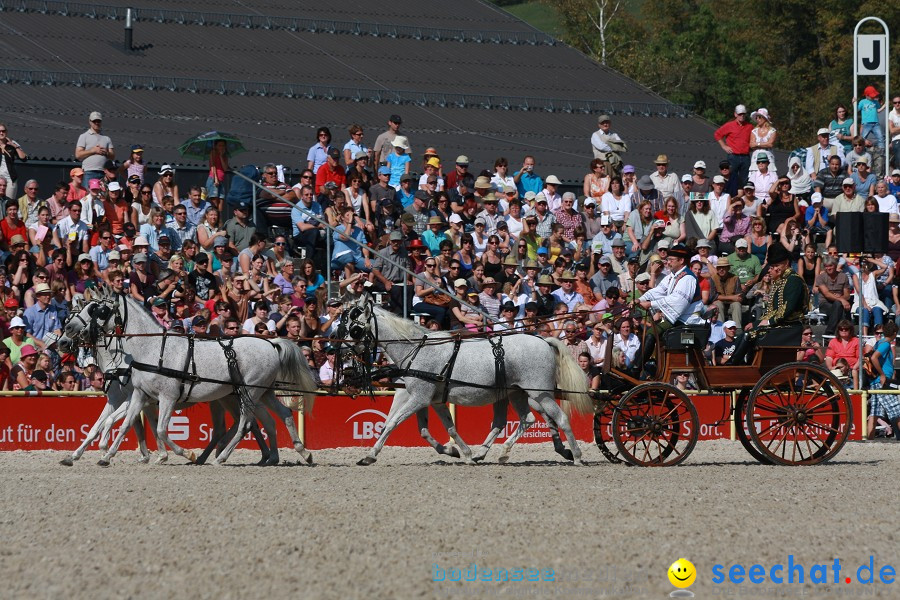 Hengstparade-Marbach-2011-011011-Bodensee-Community-SEECHAT_DE-IMG_0520.JPG