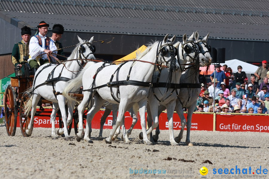 Hengstparade-Marbach-2011-011011-Bodensee-Community-SEECHAT_DE-IMG_0522.JPG