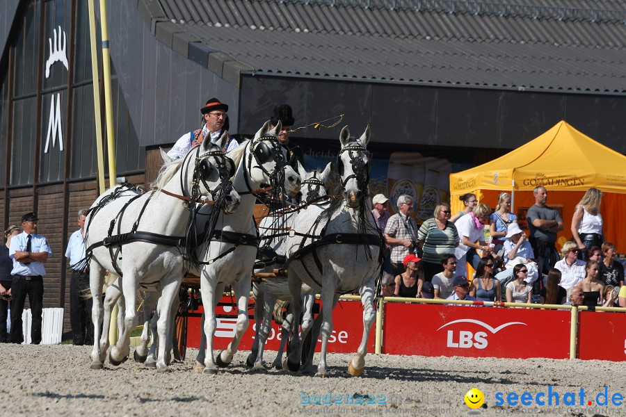 Hengstparade-Marbach-2011-011011-Bodensee-Community-SEECHAT_DE-IMG_0525.JPG