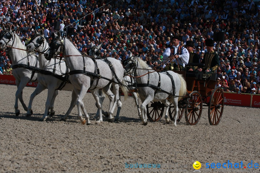 Hengstparade-Marbach-2011-011011-Bodensee-Community-SEECHAT_DE-IMG_0527.JPG