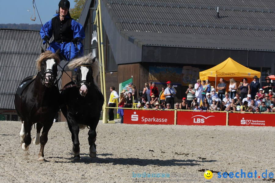 Hengstparade-Marbach-2011-011011-Bodensee-Community-SEECHAT_DE-IMG_0536.JPG