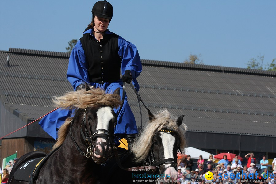 Hengstparade-Marbach-2011-011011-Bodensee-Community-SEECHAT_DE-IMG_0539.JPG