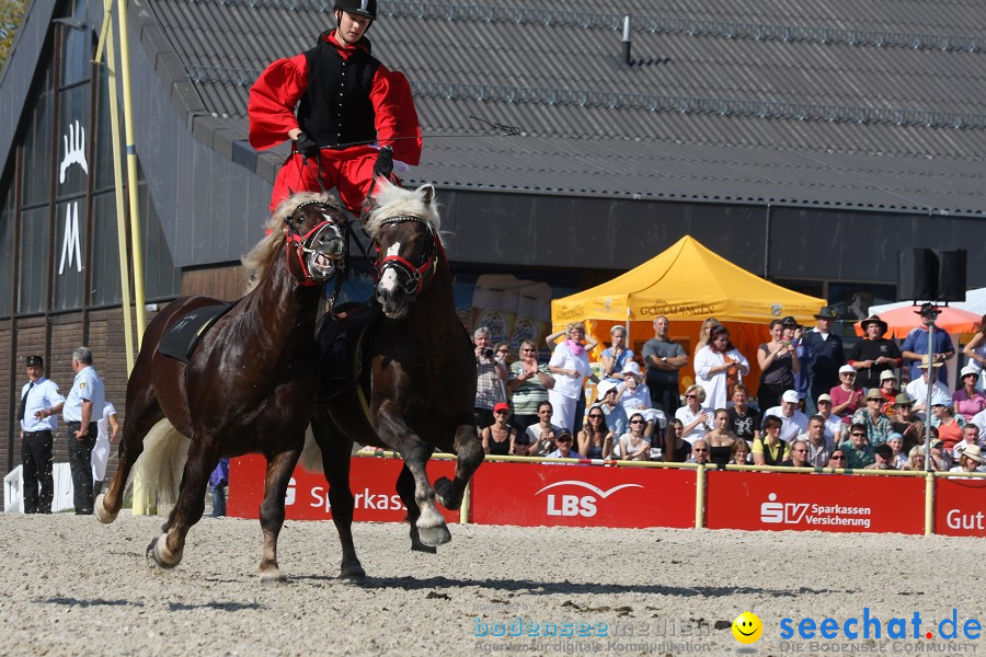 Hengstparade-Marbach-2011-011011-Bodensee-Community-SEECHAT_DE-IMG_0541.JPG