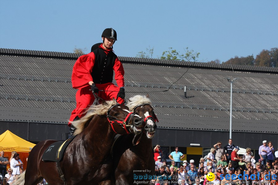 Hengstparade-Marbach-2011-011011-Bodensee-Community-SEECHAT_DE-IMG_0543.JPG