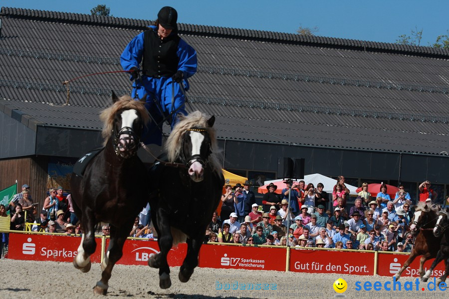 Hengstparade-Marbach-2011-011011-Bodensee-Community-SEECHAT_DE-IMG_0549.JPG