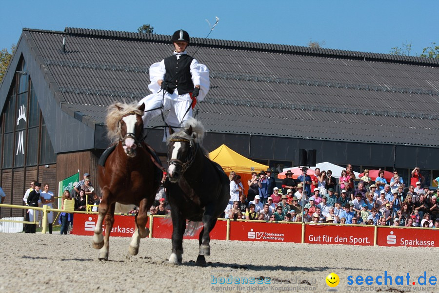 Hengstparade-Marbach-2011-011011-Bodensee-Community-SEECHAT_DE-IMG_0550.JPG