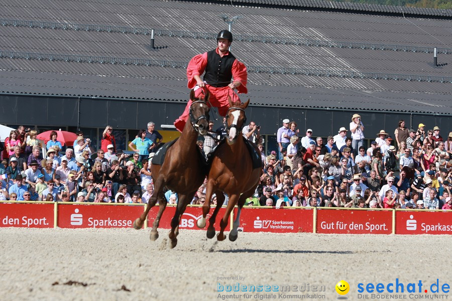 Hengstparade-Marbach-2011-011011-Bodensee-Community-SEECHAT_DE-IMG_0552.JPG