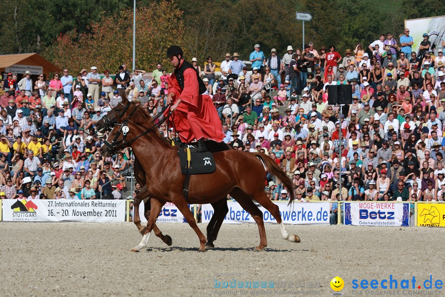 Hengstparade-Marbach-2011-011011-Bodensee-Community-SEECHAT_DE-IMG_0556.JPG