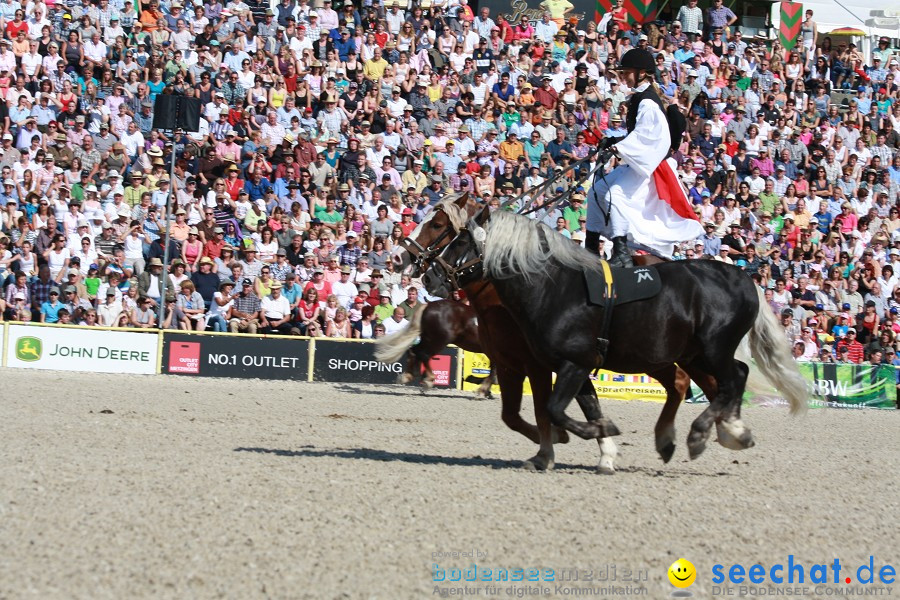 Hengstparade-Marbach-2011-011011-Bodensee-Community-SEECHAT_DE-IMG_0561.JPG