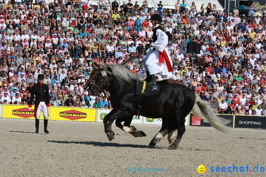 Hengstparade-Marbach-2011-011011-Bodensee-Community-SEECHAT_DE-IMG_0563.JPG