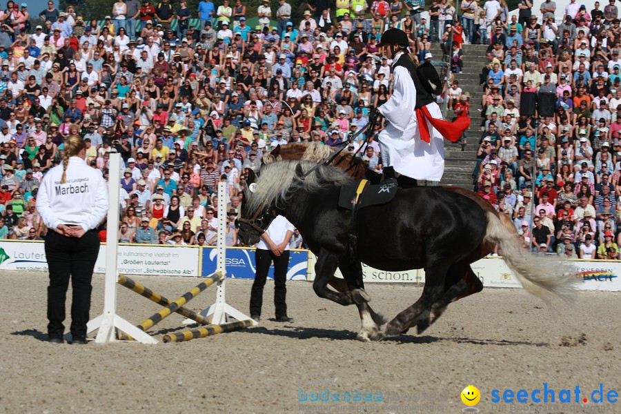 Hengstparade-Marbach-2011-011011-Bodensee-Community-SEECHAT_DE-IMG_0565.JPG