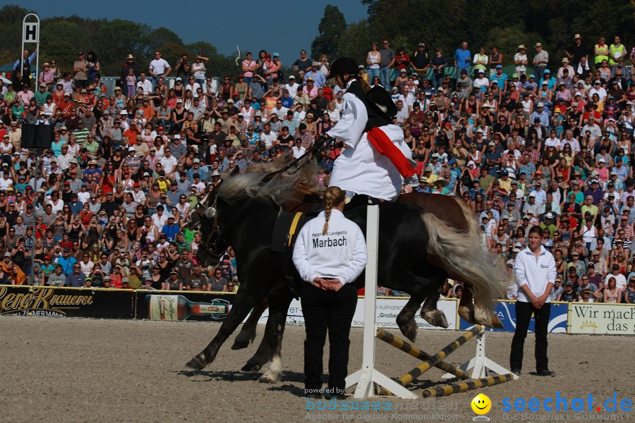 Hengstparade-Marbach-2011-011011-Bodensee-Community-SEECHAT_DE-IMG_0567.JPG