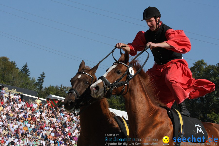 Hengstparade-Marbach-2011-011011-Bodensee-Community-SEECHAT_DE-IMG_0568.JPG