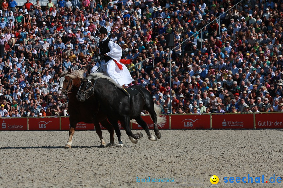 Hengstparade-Marbach-2011-011011-Bodensee-Community-SEECHAT_DE-IMG_0570.JPG