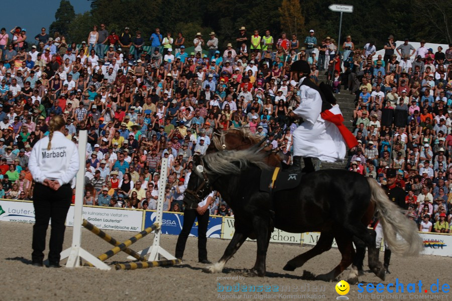 Hengstparade-Marbach-2011-011011-Bodensee-Community-SEECHAT_DE-IMG_0571.JPG