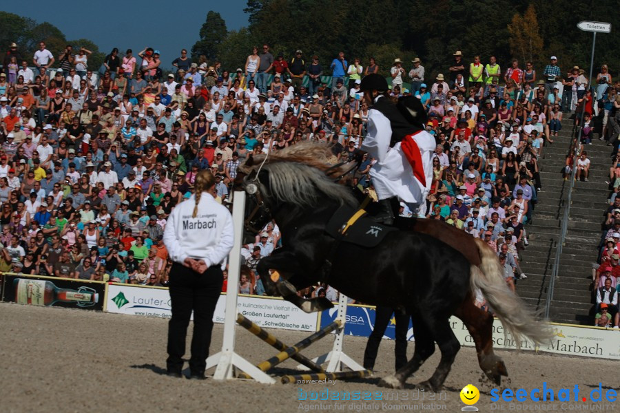 Hengstparade-Marbach-2011-011011-Bodensee-Community-SEECHAT_DE-IMG_0573.JPG