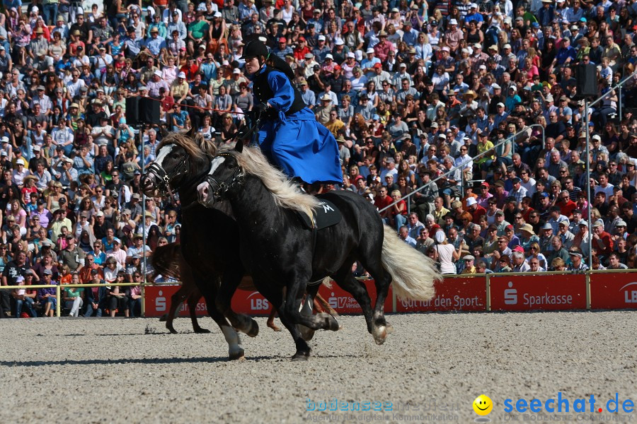 Hengstparade-Marbach-2011-011011-Bodensee-Community-SEECHAT_DE-IMG_0574.JPG