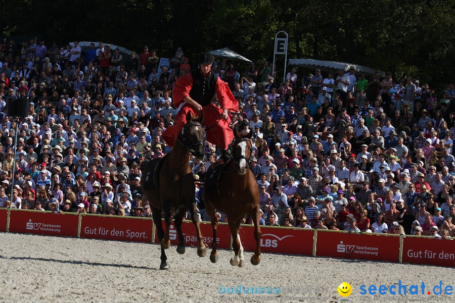 Hengstparade-Marbach-2011-011011-Bodensee-Community-SEECHAT_DE-IMG_0576.JPG