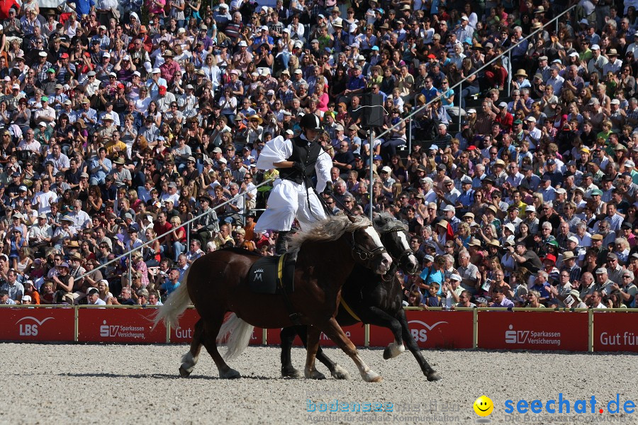 Hengstparade-Marbach-2011-011011-Bodensee-Community-SEECHAT_DE-IMG_0580.JPG