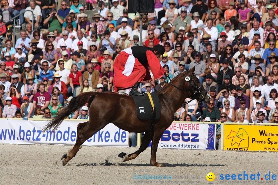 Hengstparade-Marbach-2011-011011-Bodensee-Community-SEECHAT_DE-IMG_0584.JPG