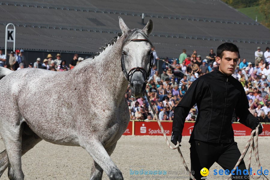 Hengstparade-Marbach-2011-011011-Bodensee-Community-SEECHAT_DE-IMG_0596.JPG