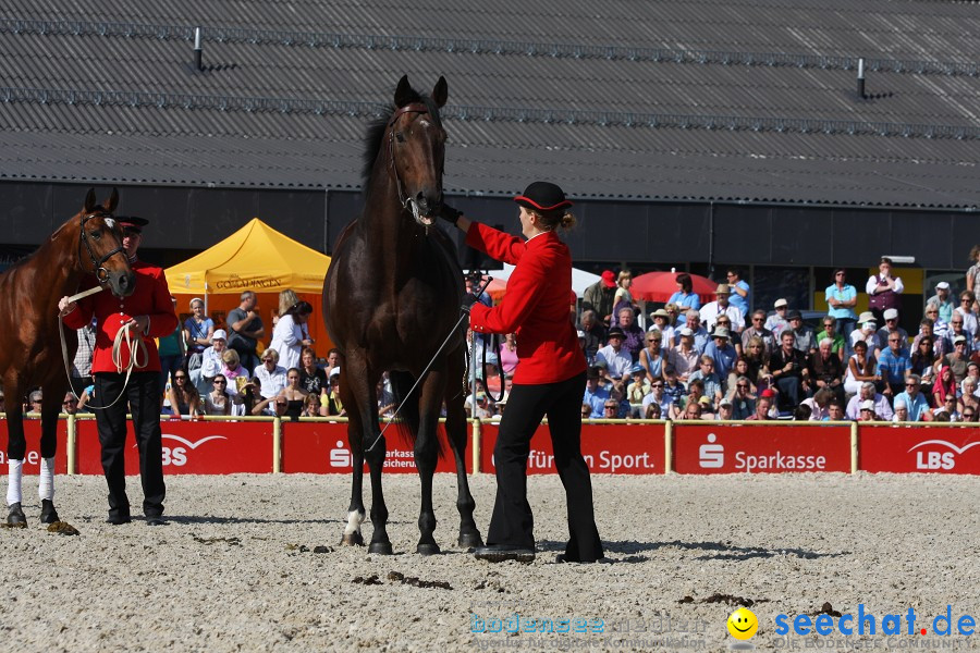 Hengstparade-Marbach-2011-011011-Bodensee-Community-SEECHAT_DE-IMG_0599.JPG