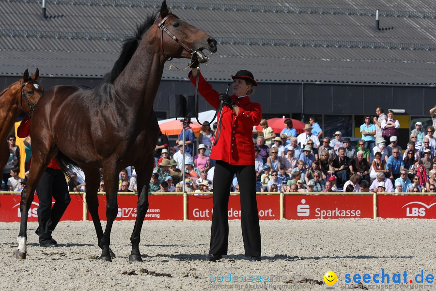 Hengstparade-Marbach-2011-011011-Bodensee-Community-SEECHAT_DE-IMG_0601.JPG