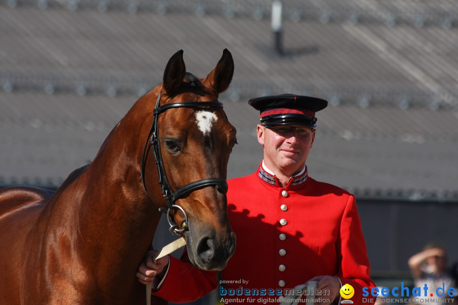 Hengstparade-Marbach-2011-011011-Bodensee-Community-SEECHAT_DE-IMG_0604.JPG