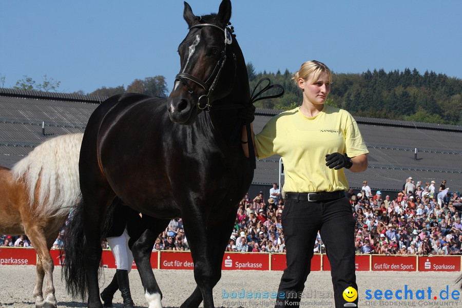 Hengstparade-Marbach-2011-011011-Bodensee-Community-SEECHAT_DE-IMG_0609.JPG