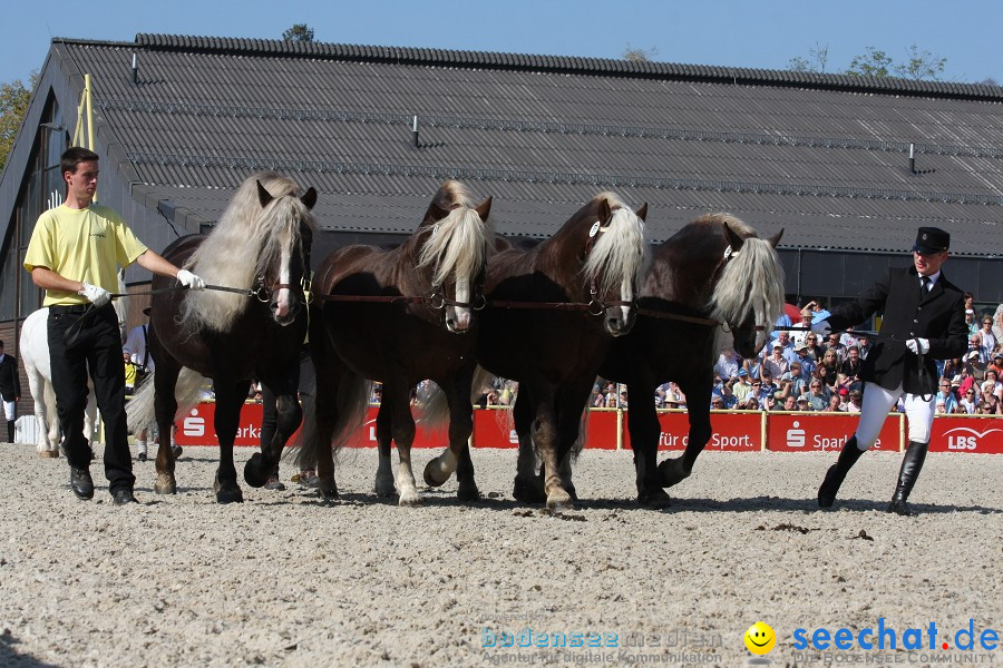 Hengstparade-Marbach-2011-011011-Bodensee-Community-SEECHAT_DE-IMG_0613.JPG