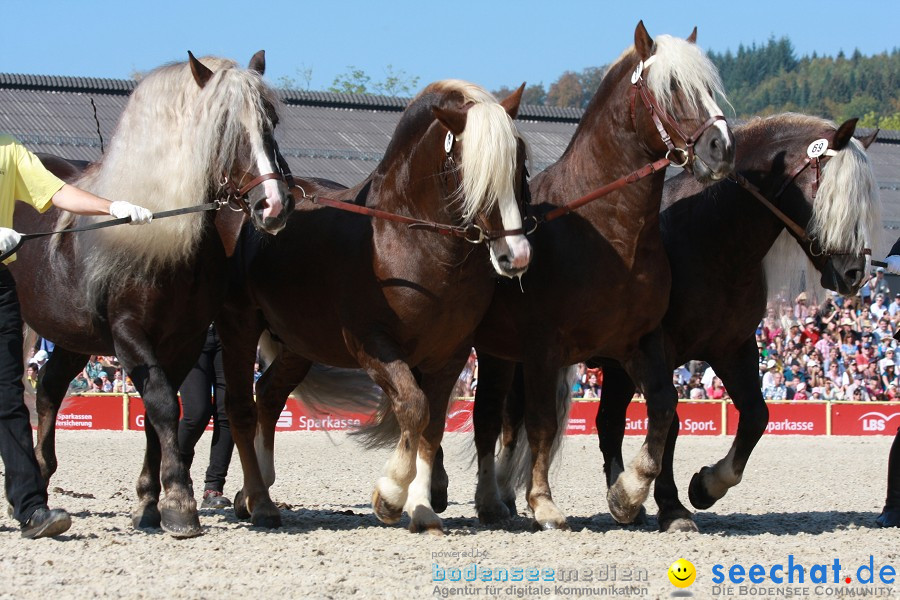 Hengstparade-Marbach-2011-011011-Bodensee-Community-SEECHAT_DE-IMG_0615.JPG