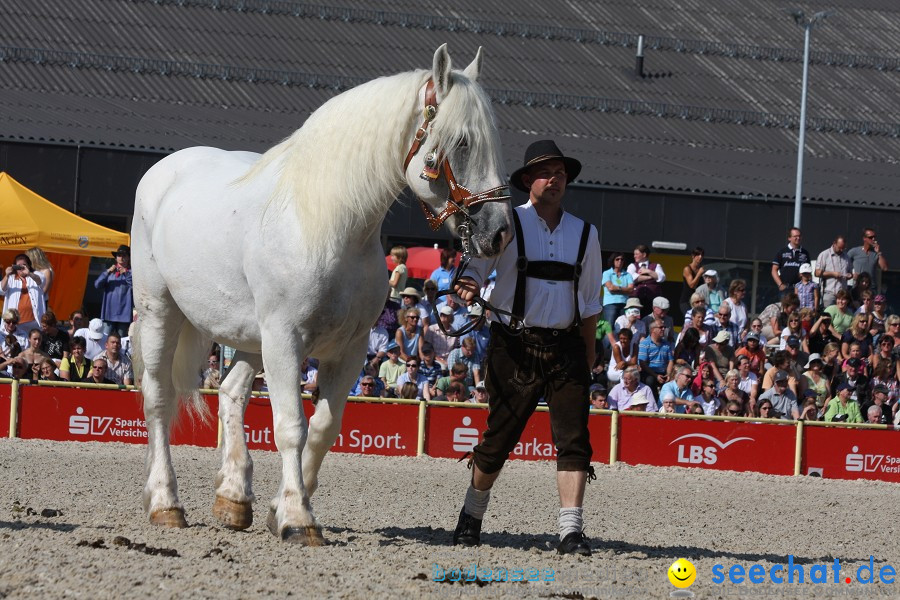 Hengstparade-Marbach-2011-011011-Bodensee-Community-SEECHAT_DE-IMG_0616.JPG