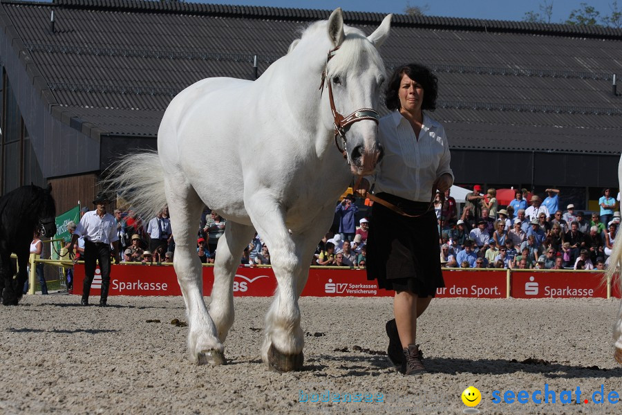 Hengstparade-Marbach-2011-011011-Bodensee-Community-SEECHAT_DE-IMG_0617.JPG