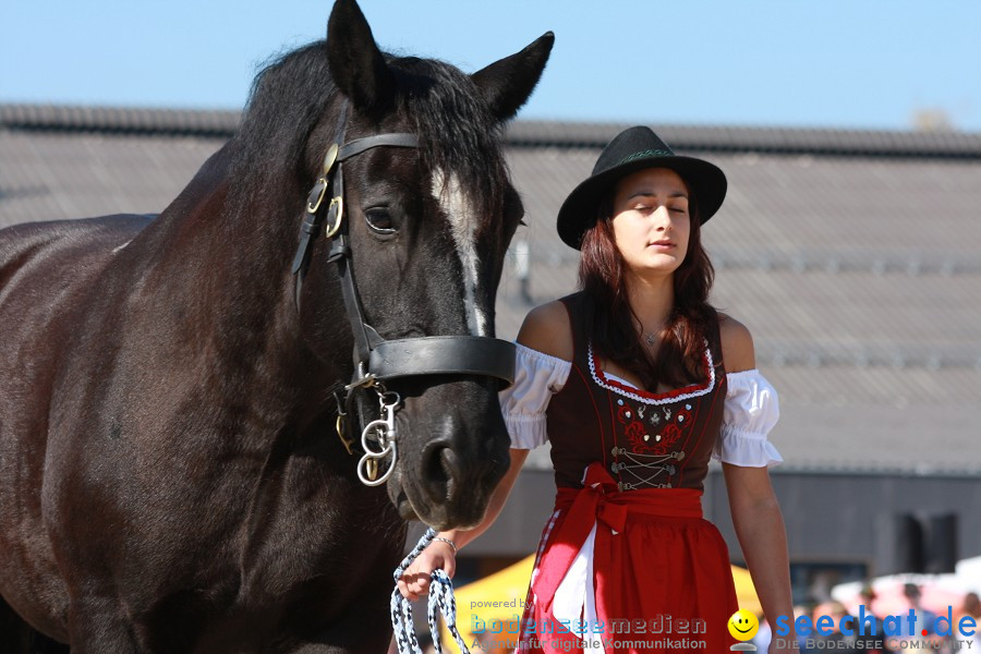 Hengstparade-Marbach-2011-011011-Bodensee-Community-SEECHAT_DE-IMG_0622.JPG