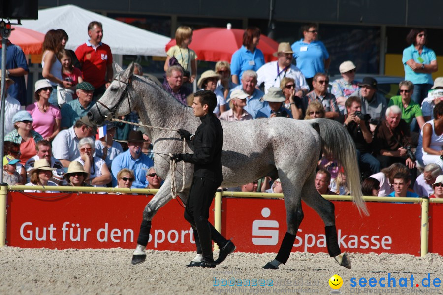 Hengstparade-Marbach-2011-011011-Bodensee-Community-SEECHAT_DE-IMG_0629.JPG