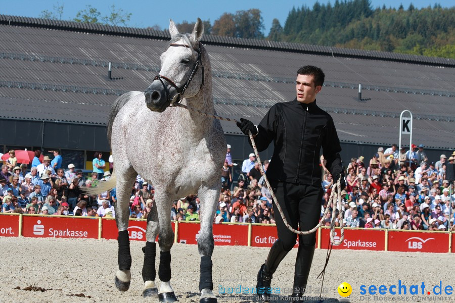 Hengstparade-Marbach-2011-011011-Bodensee-Community-SEECHAT_DE-IMG_0635.JPG