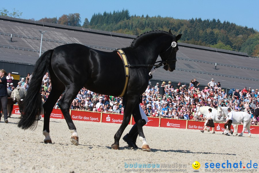 Hengstparade-Marbach-2011-011011-Bodensee-Community-SEECHAT_DE-IMG_0646.JPG