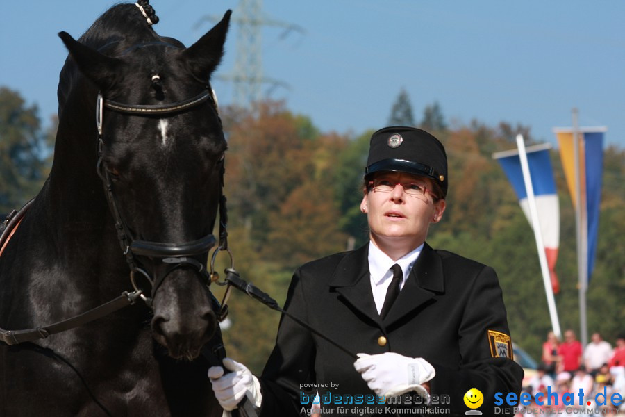 Hengstparade-Marbach-2011-011011-Bodensee-Community-SEECHAT_DE-IMG_0649.JPG