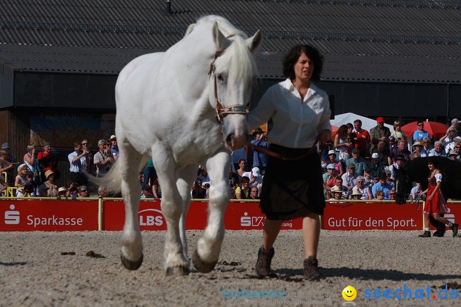 Hengstparade-Marbach-2011-011011-Bodensee-Community-SEECHAT_DE-IMG_0655.JPG