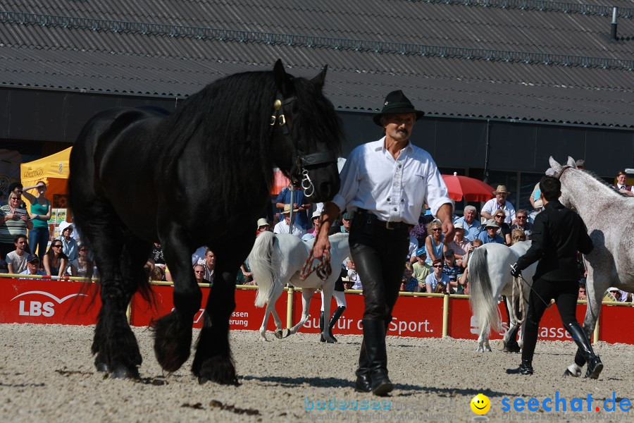 Hengstparade-Marbach-2011-011011-Bodensee-Community-SEECHAT_DE-IMG_0659.JPG