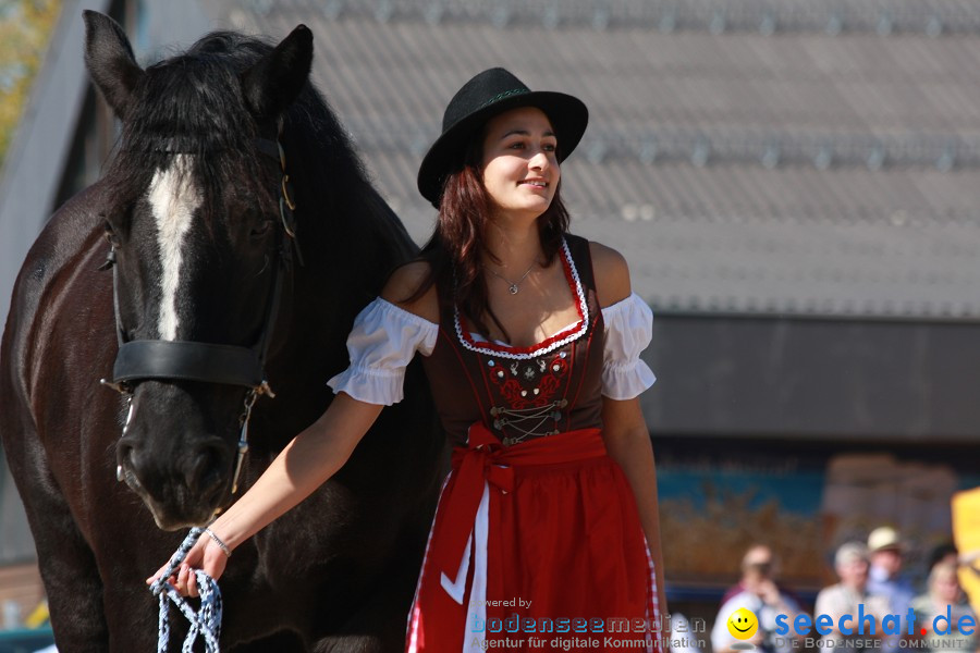 Hengstparade-Marbach-2011-011011-Bodensee-Community-SEECHAT_DE-IMG_0660.JPG