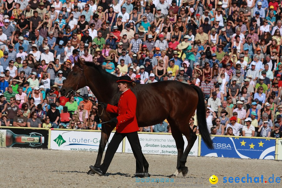 Hengstparade-Marbach-2011-011011-Bodensee-Community-SEECHAT_DE-IMG_0661.JPG