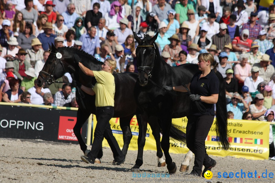 Hengstparade-Marbach-2011-011011-Bodensee-Community-SEECHAT_DE-IMG_0669.JPG